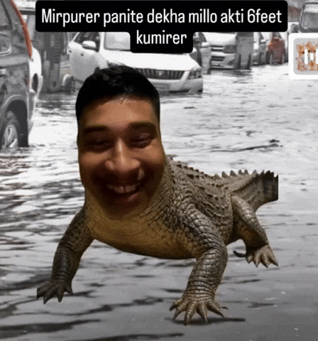 Adib GIF