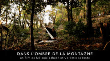 Film GIF
