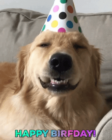 Happy-birthday-puppy GIFs - Get the best GIF on GIPHY