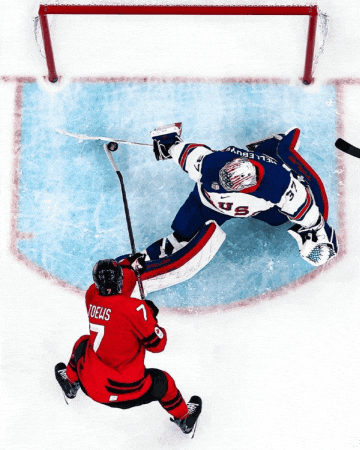 Gold Usahockey GIF