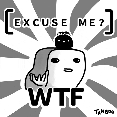 Excuse Me Wtf GIF by TANBOO