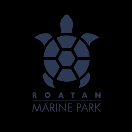 Rmp GIF by Roatan Marine Park
