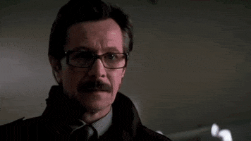 ziggy_iggy_lou  GIF