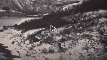 200.gif?cid=fc005b08f02fe9dc73f42fc82a7378c27bd8867a6f01c72e&rid=200.gif&ct=g
