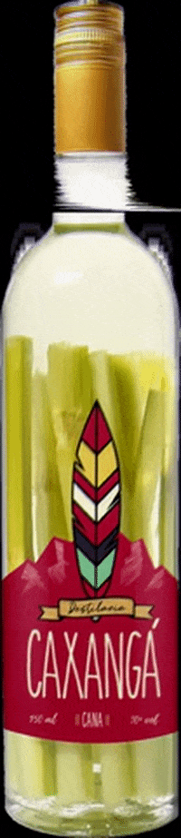 caxangabrasil GIF