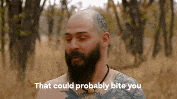 Scared Discovery Channel GIF by Discovery