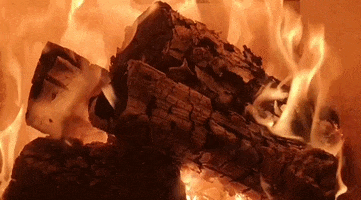 CDU Luthe GIF