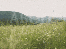 ABODI GIF