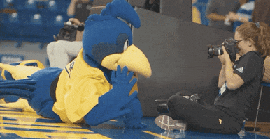Basketball Posing GIF by Delaware Blue Hens