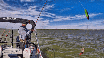 Fishing GIF