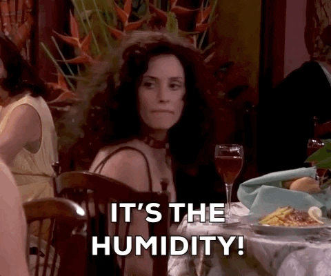 Season 9 Summer GIF by Friends - Find & Share on GIPHY