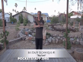 Bo Staff GIF