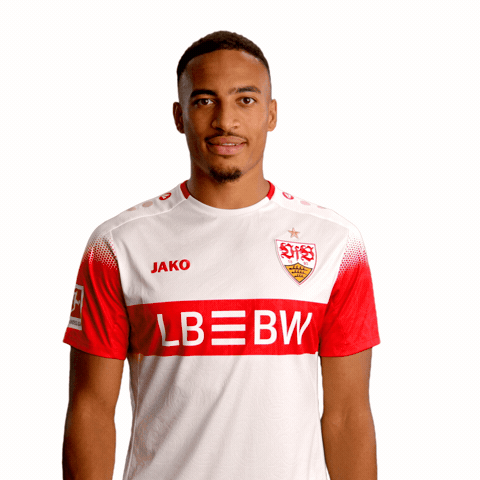 Jako No GIF by VfB Stuttgart 1893