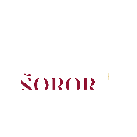 Sorellas Sticker by Soror