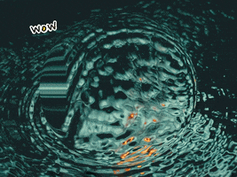 200.gif?cid=fc005b080ed0a98c71364360745f82a41c39637babfd81e5&rid=200.gif&ct=g