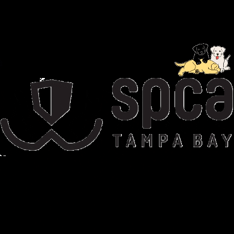 SPCA Tampa Bay GIF