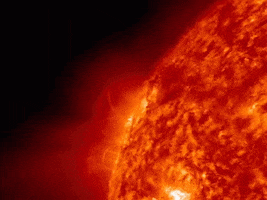   Prominence -  5