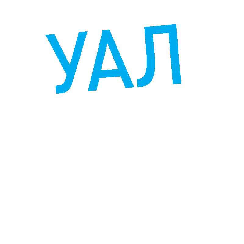 Ualandaction Sticker by Ukrainian Leadership Academy