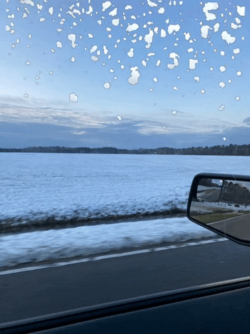 Expert House Movers GIF