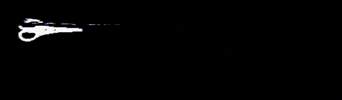 Halil Altıntaş Hair GIF