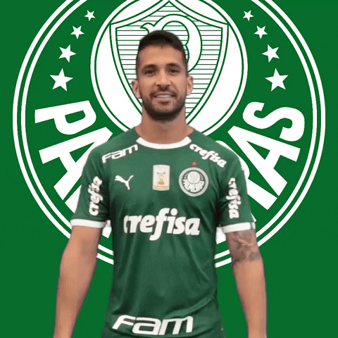 Palmeiras soccer ok thumbs up futebol GIF