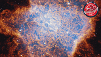 James Webb Nasa GIF by ESA Webb Space Telescope