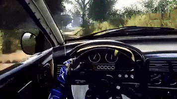 Codemasters dirtrally dirtrally2 GIF
