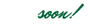 Grupo Salo Mx Sticker
