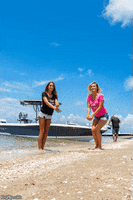 Wetlife Marineaudio GIF by Wet Sounds
