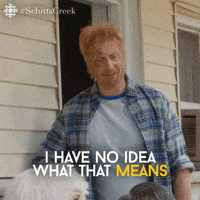 What Does That Mean Schitts Creek GIF by CBC