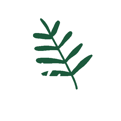 Cégep du Vieux Montréal Sticker