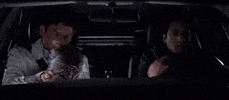 Racoon GIF