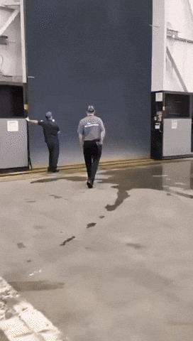 Wtf GIF
