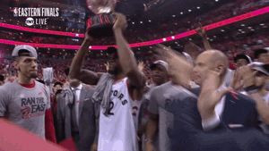Winning Toronto Raptors GIF by NBA