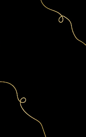 FloreverPeru gold golden lines decoration GIF