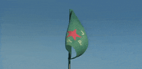 Ypj GIF
