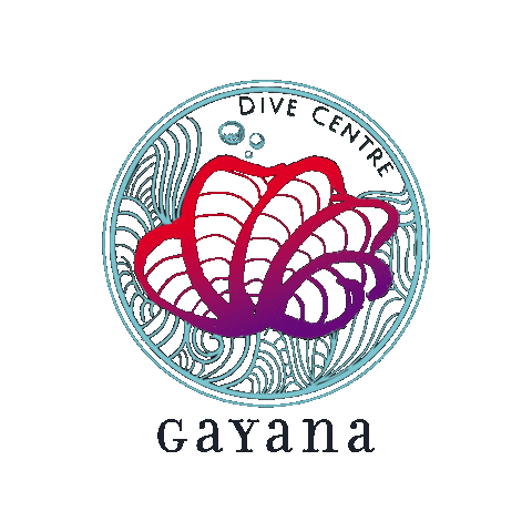 gayanadivecentre Sticker