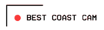 Best Coast Bcb Sticker by Best Coast Beverages
