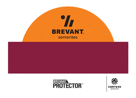 Sorgo Sticker by Brevant Sementes