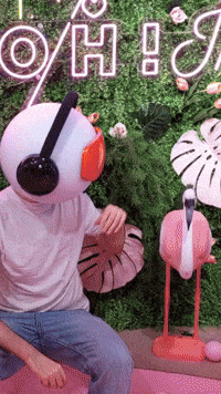 Build Your Own Flamingo Friend