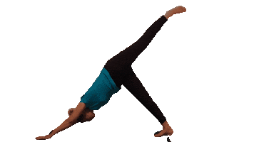 Yoga Loes Sticker by ADEM IN & UIT