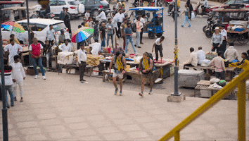 The Amazing Race Brothers GIF by CBS