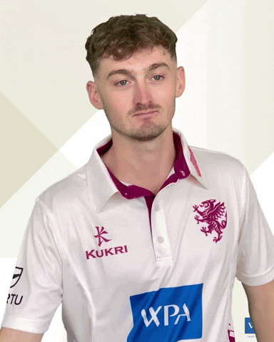 Sport Spinner GIF by Somerset County Cricket Club