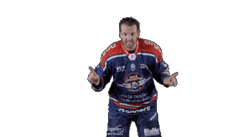 Ducs Dangers Hockey Sticker by Les Ducs d'Angers