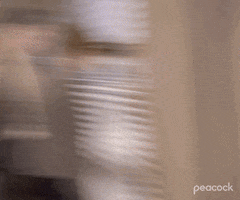Knock Down Season 6 GIF by The Office