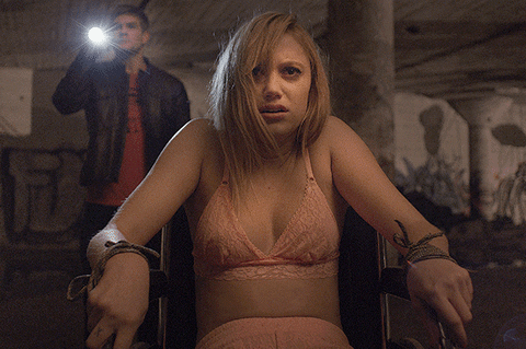 david robert mitchell