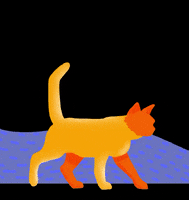 Cat Animation GIF by Lucie Mullen