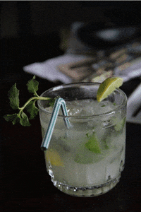 Mojito Gifs Get The Best Gif On Giphy Mojito Gifs Get The Best Gif On Giphy