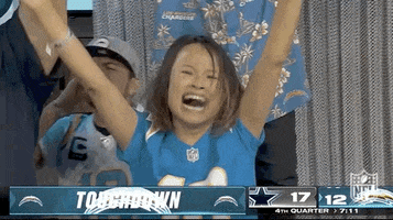 Excited National Football League GIF by NFL