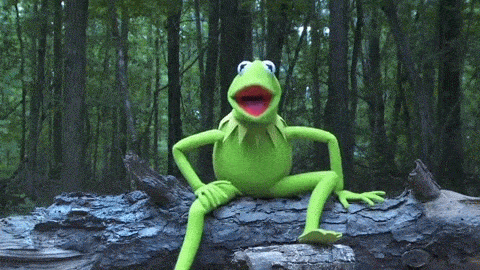 Kermit-th-frog GIFs - Get the best GIF on GIPHY
